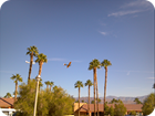 Planes
